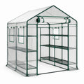 Serre de jardin transparente et vert foncé 143 × 143 × 195 cm avec étagères, porte et fenêtres enroulables